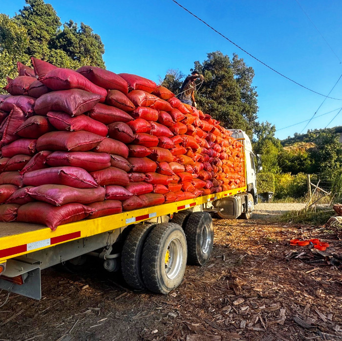 Servicio de traslado en camión con sacos de tierra