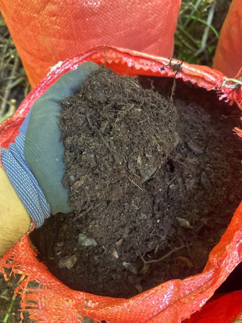 Venta de tierra de hoja de alta calidad